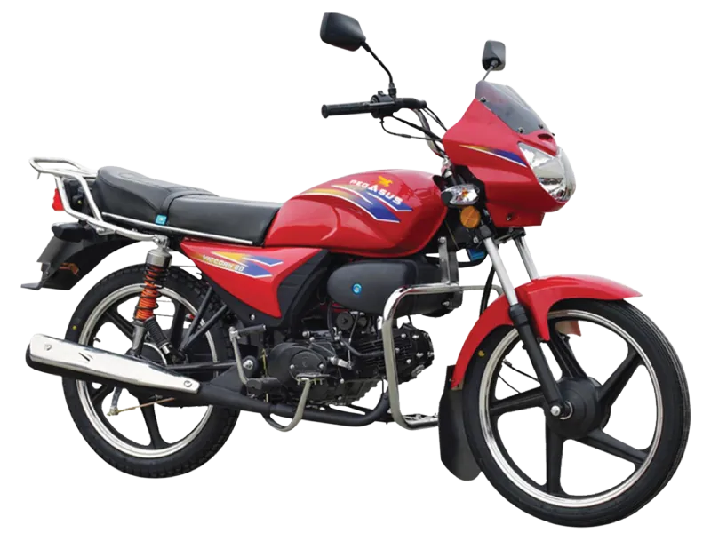 Pegasus Victory 100, front three-quarter view